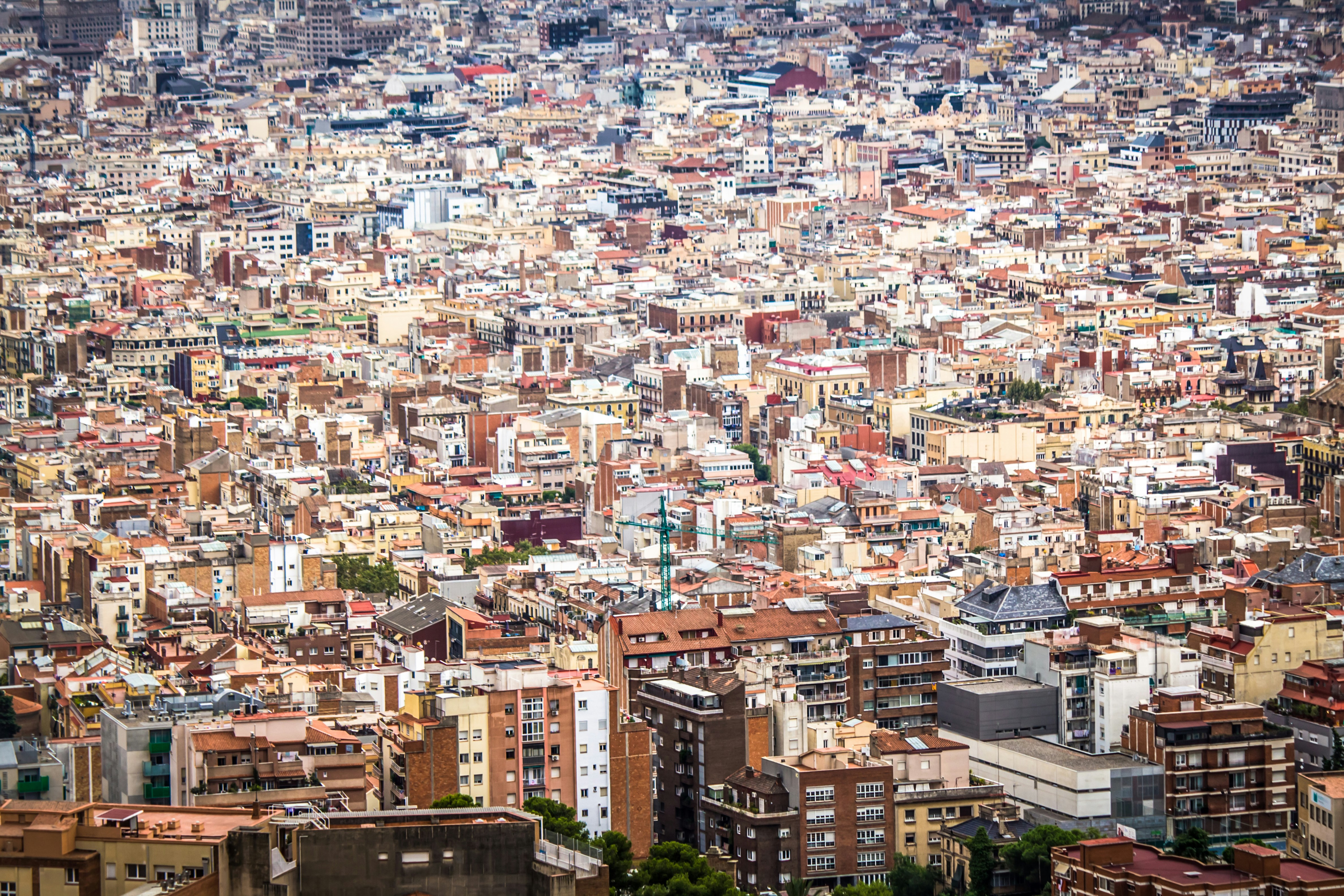 Photo by resizing_app