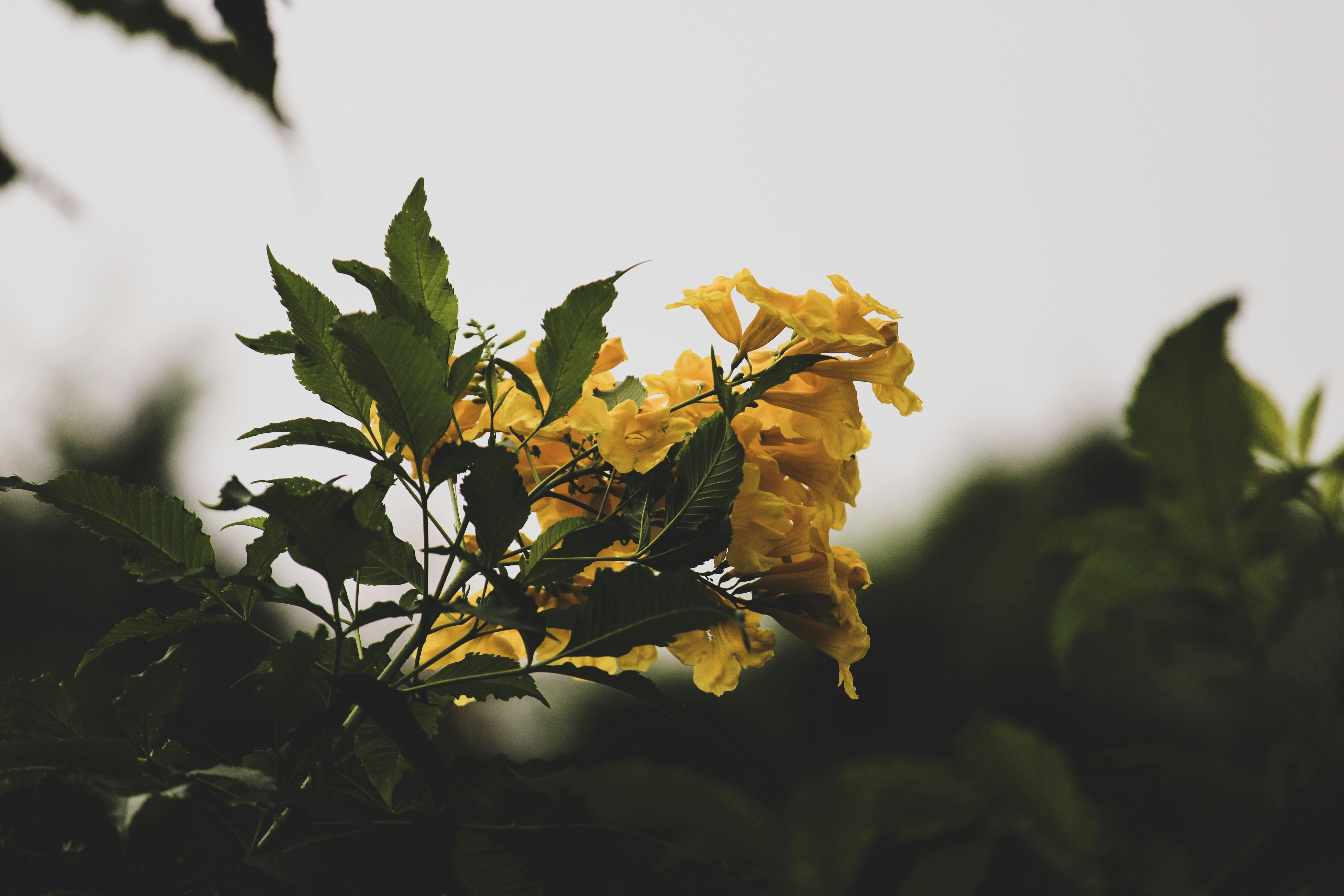 Photo by sarfrazali_shaikh_photography