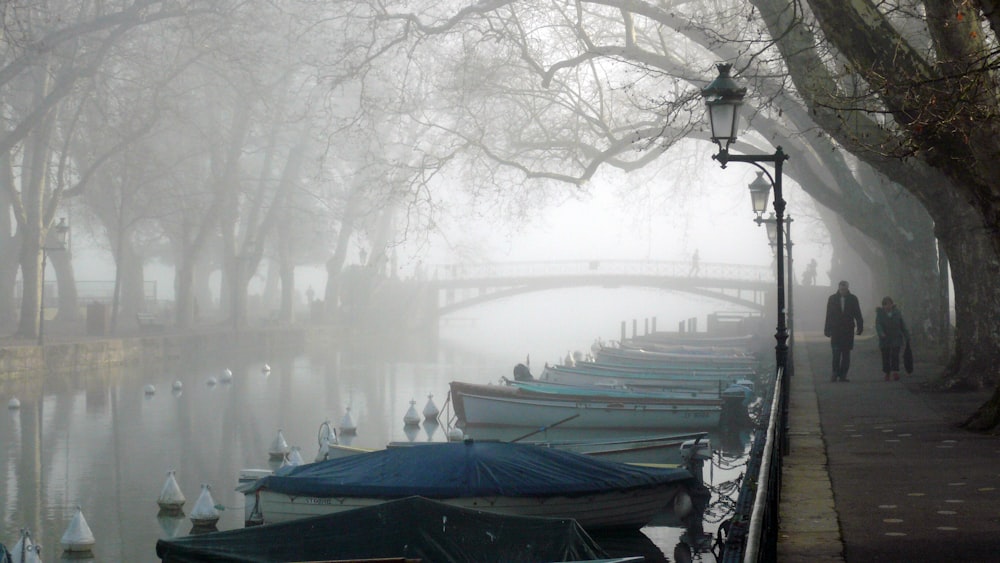 two person walking beside boats