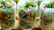 A colorful assortment of ready-to-use salads in a clear container.