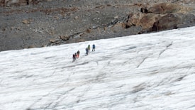 A group of people is trekking across a snowy landscape. They are equipped with climbing gear, likely indicating a challenging hike or mountaineering activity. The terrain is a mixture of ice and rock, with a rugged area visible in the background.