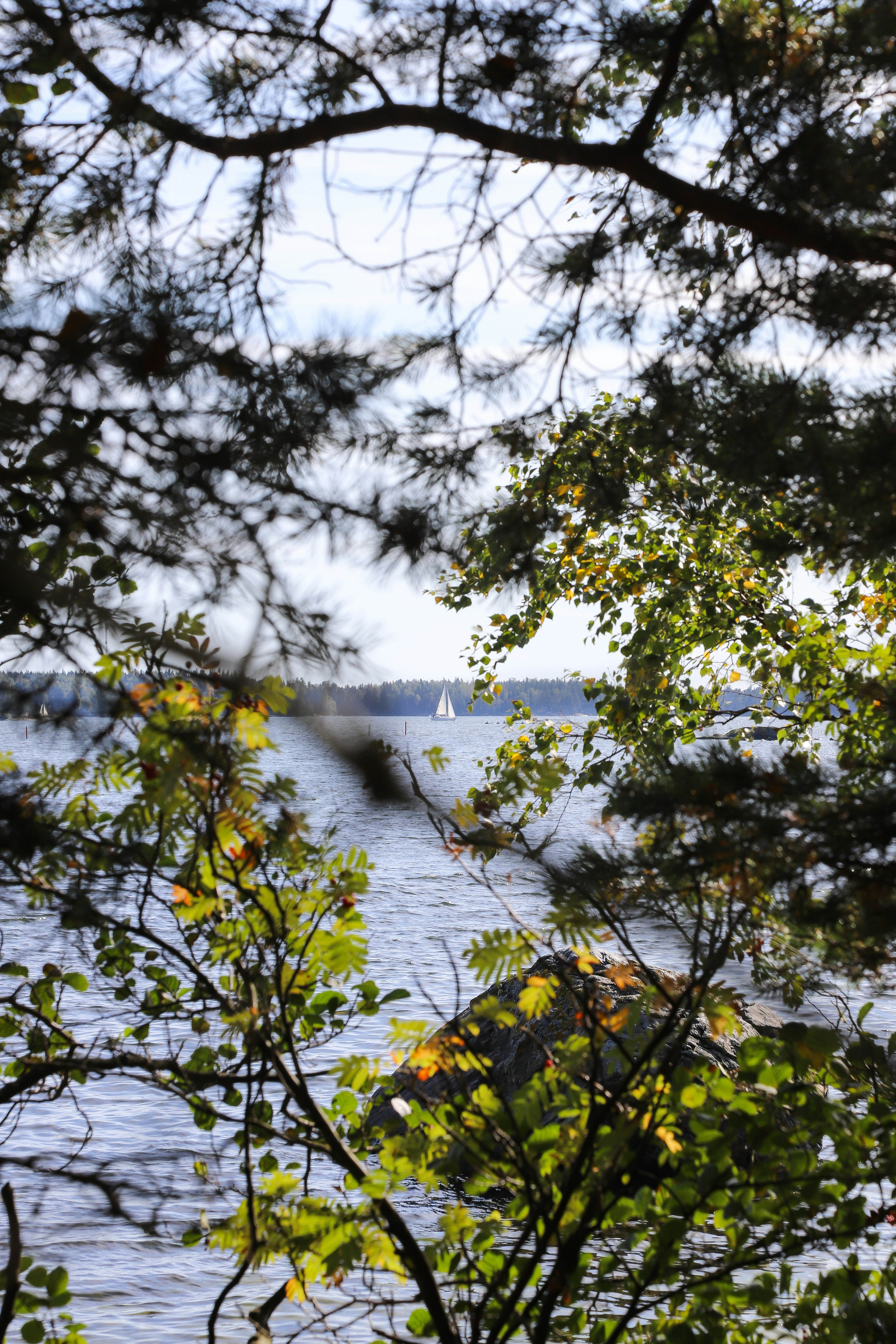 Photo by outimarjaana