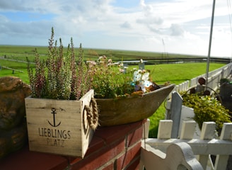 Rustic German family herb garden with steel and stainless steel garden decorations in soft green tones