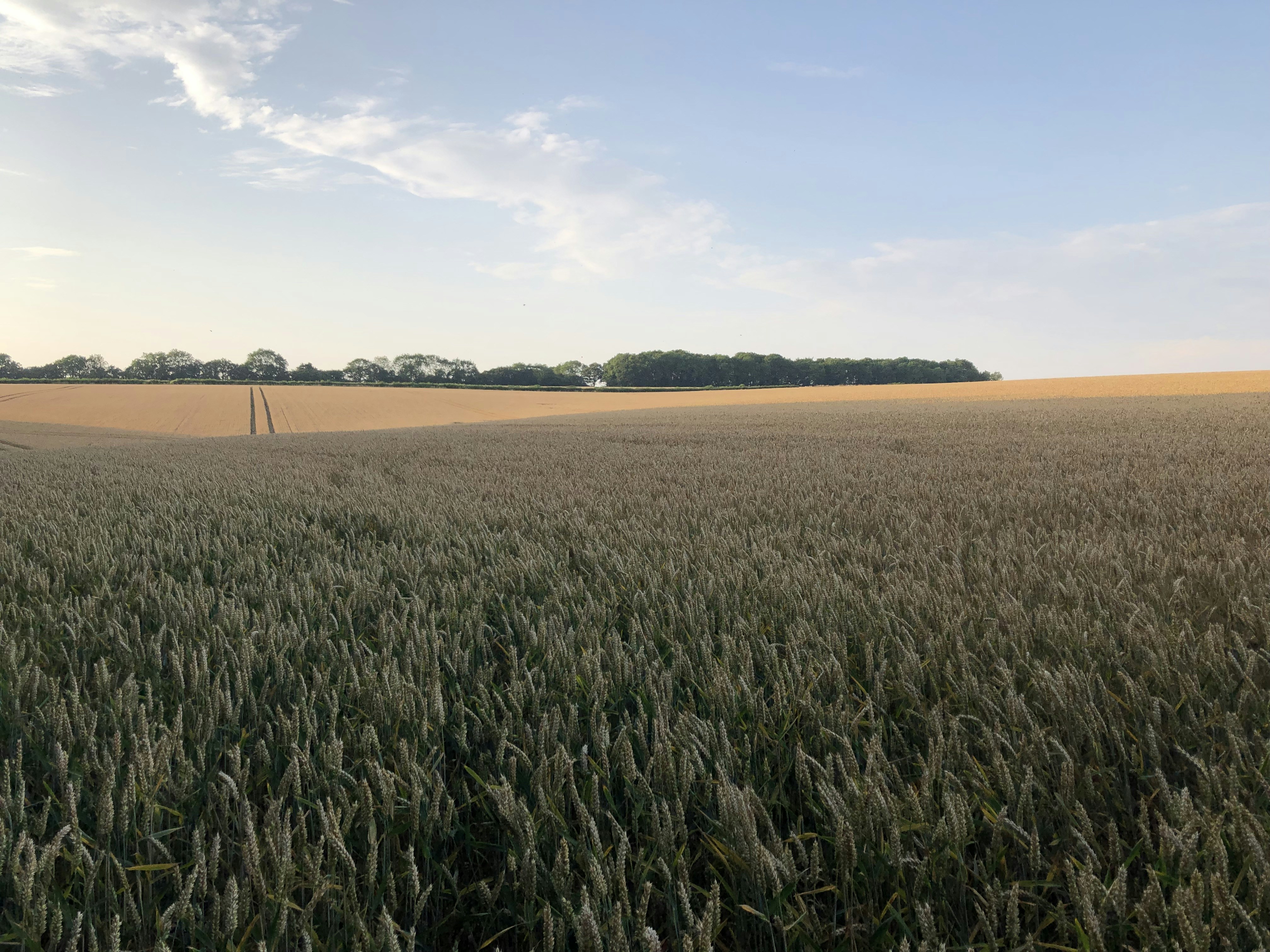 Photo by bilbobagg1ns