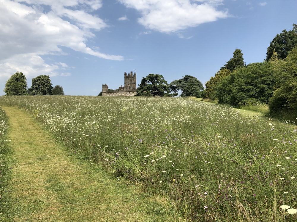 castle by green field during daytime