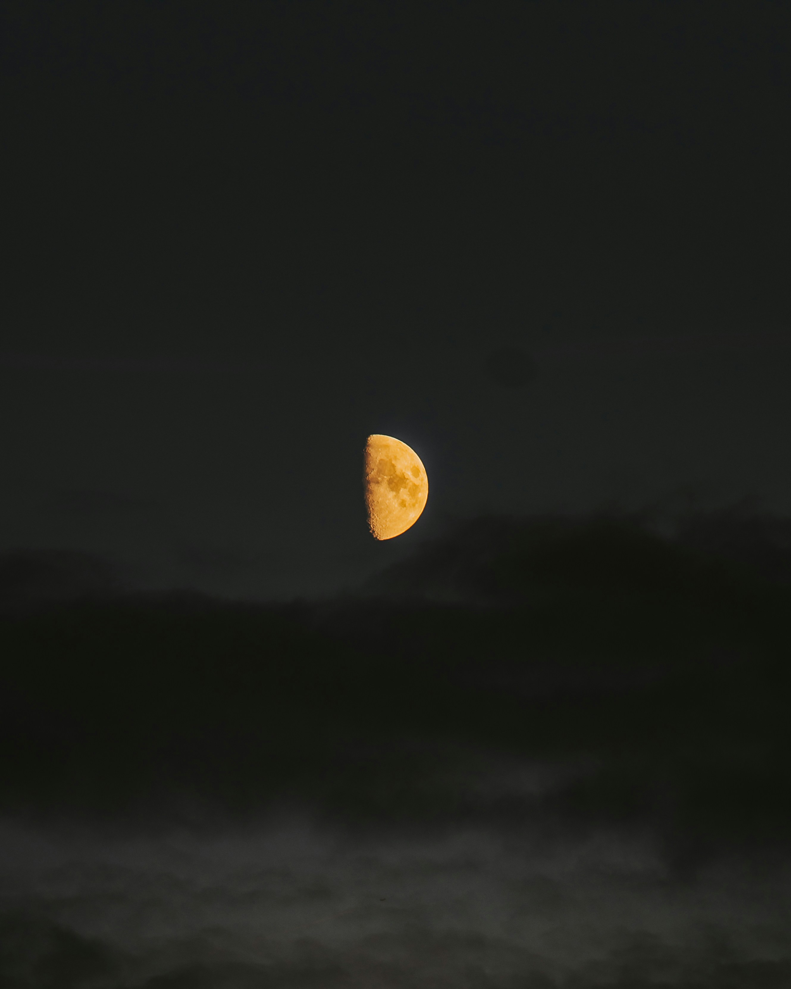 Moon stare.