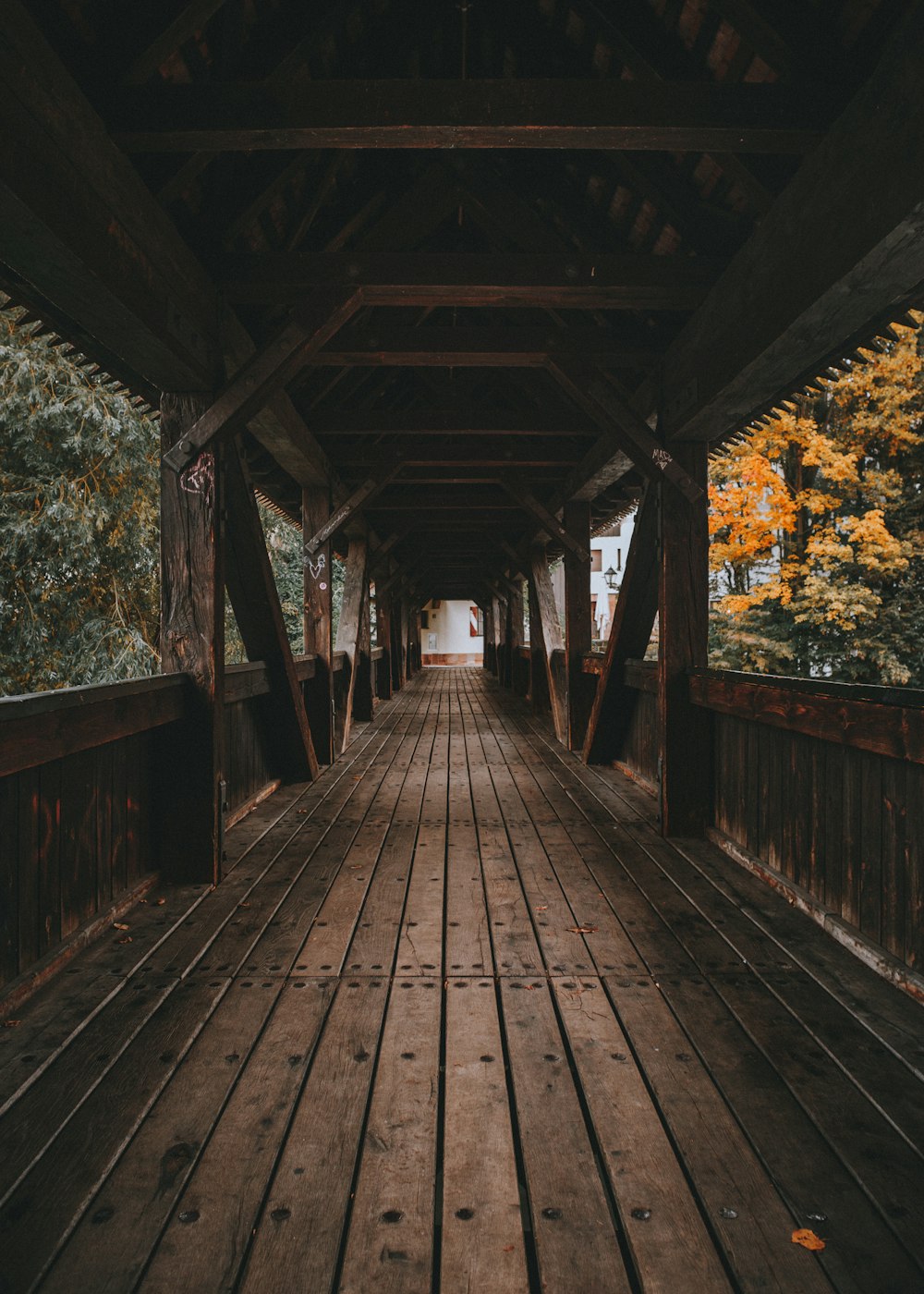 brown wooden hallway surrounded with tall and green trees