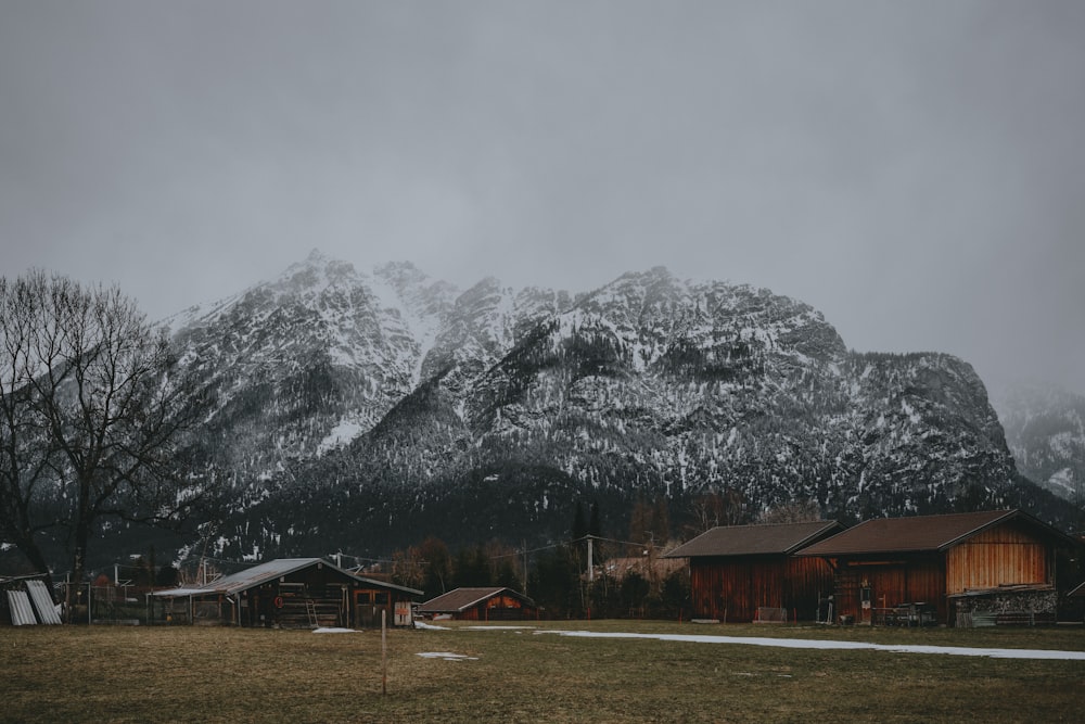 brown wooden houses on green field viewing mountain during daytime