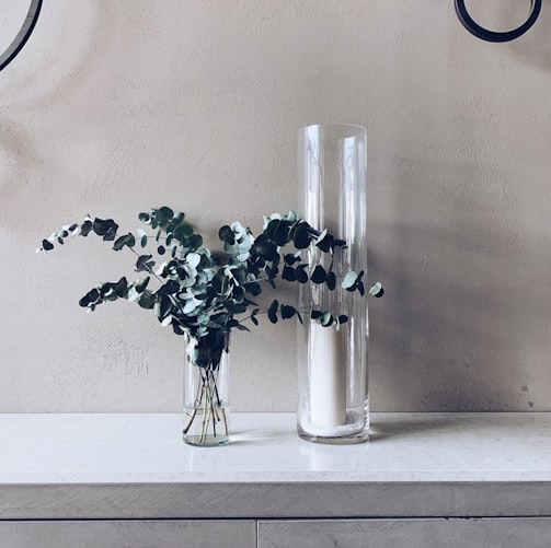 green plant in vase and glass holder