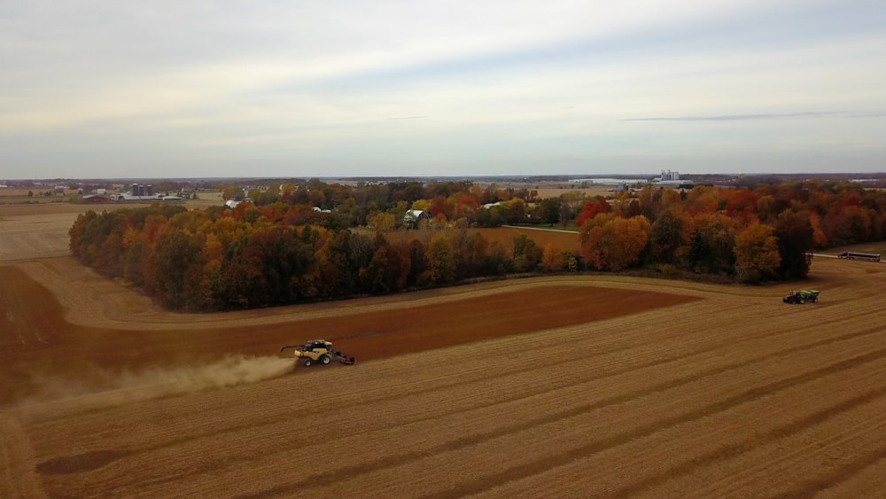 mietitrebbia agricola sul campo durante il giorno