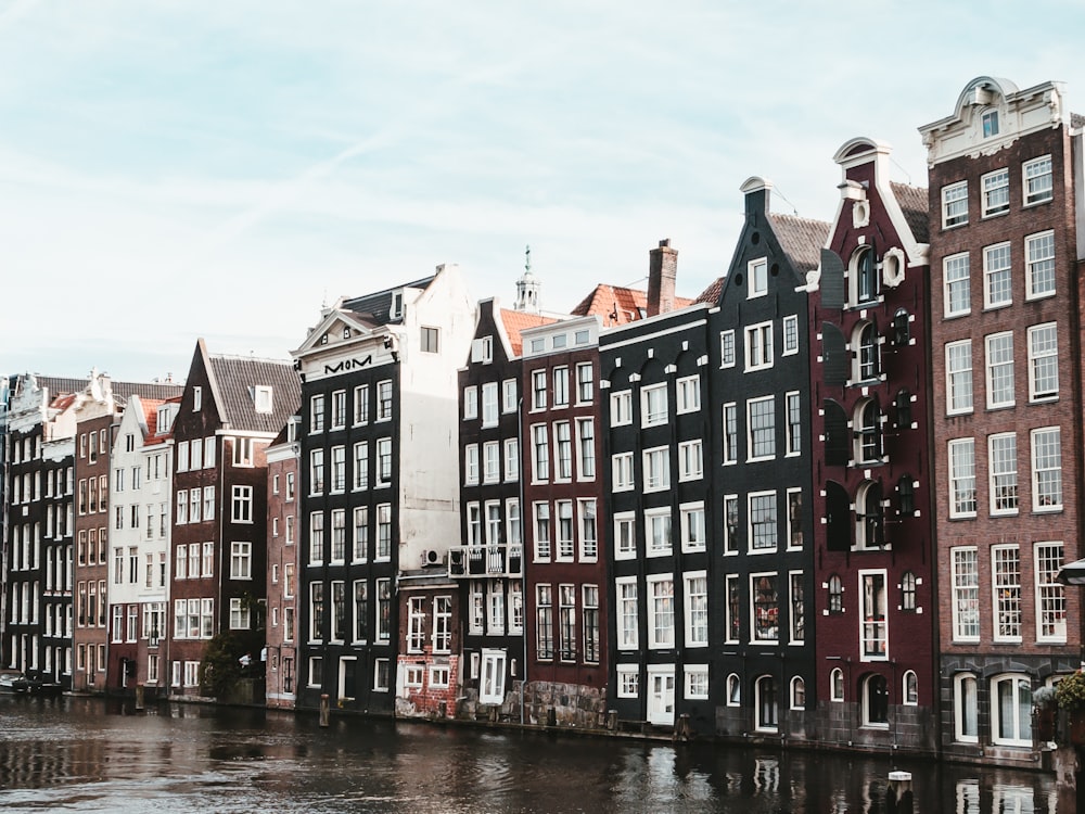 black and brown concrete building by river during daytime