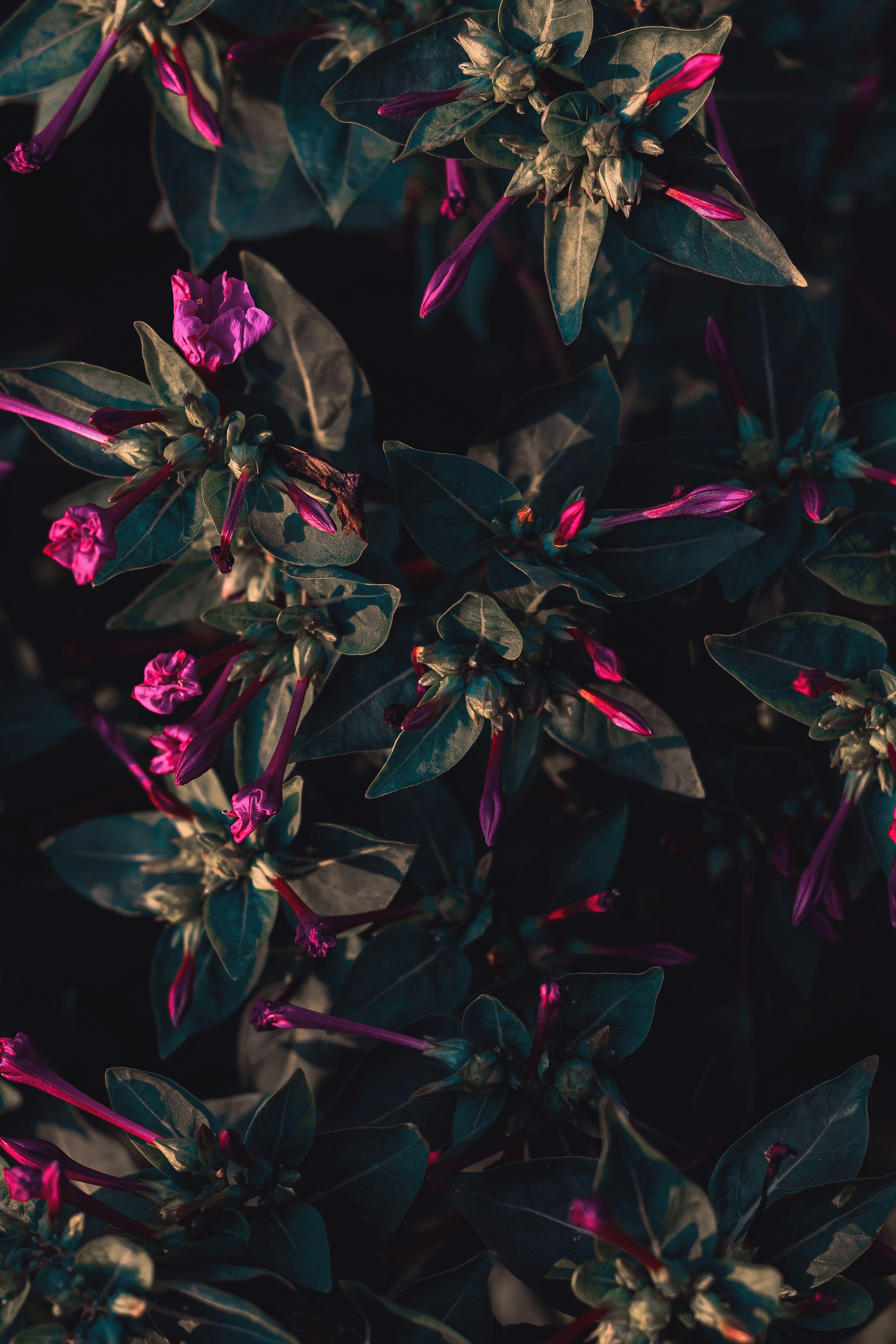 Photo by peymanfarmani