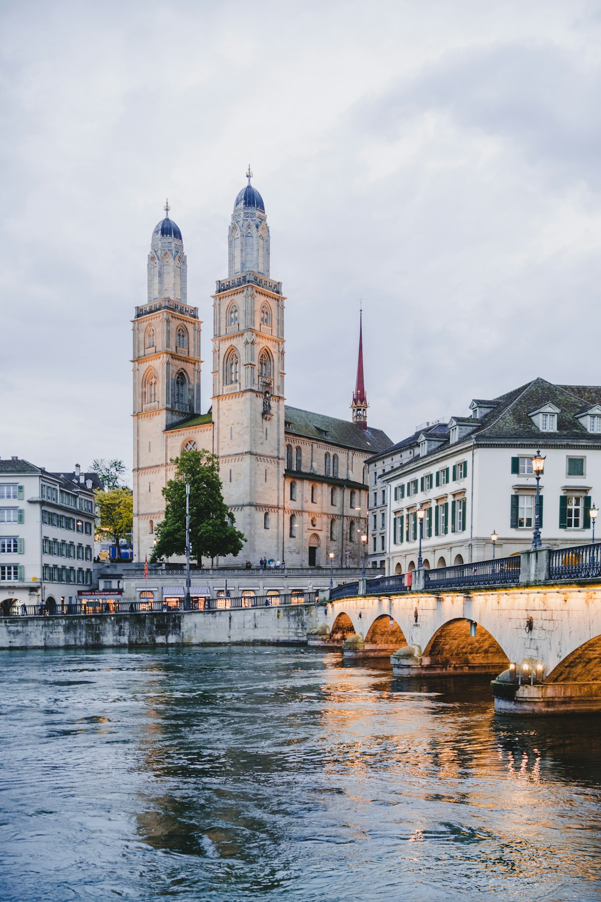 Magnolias blooming over the Limmat in Zurich Altstadt