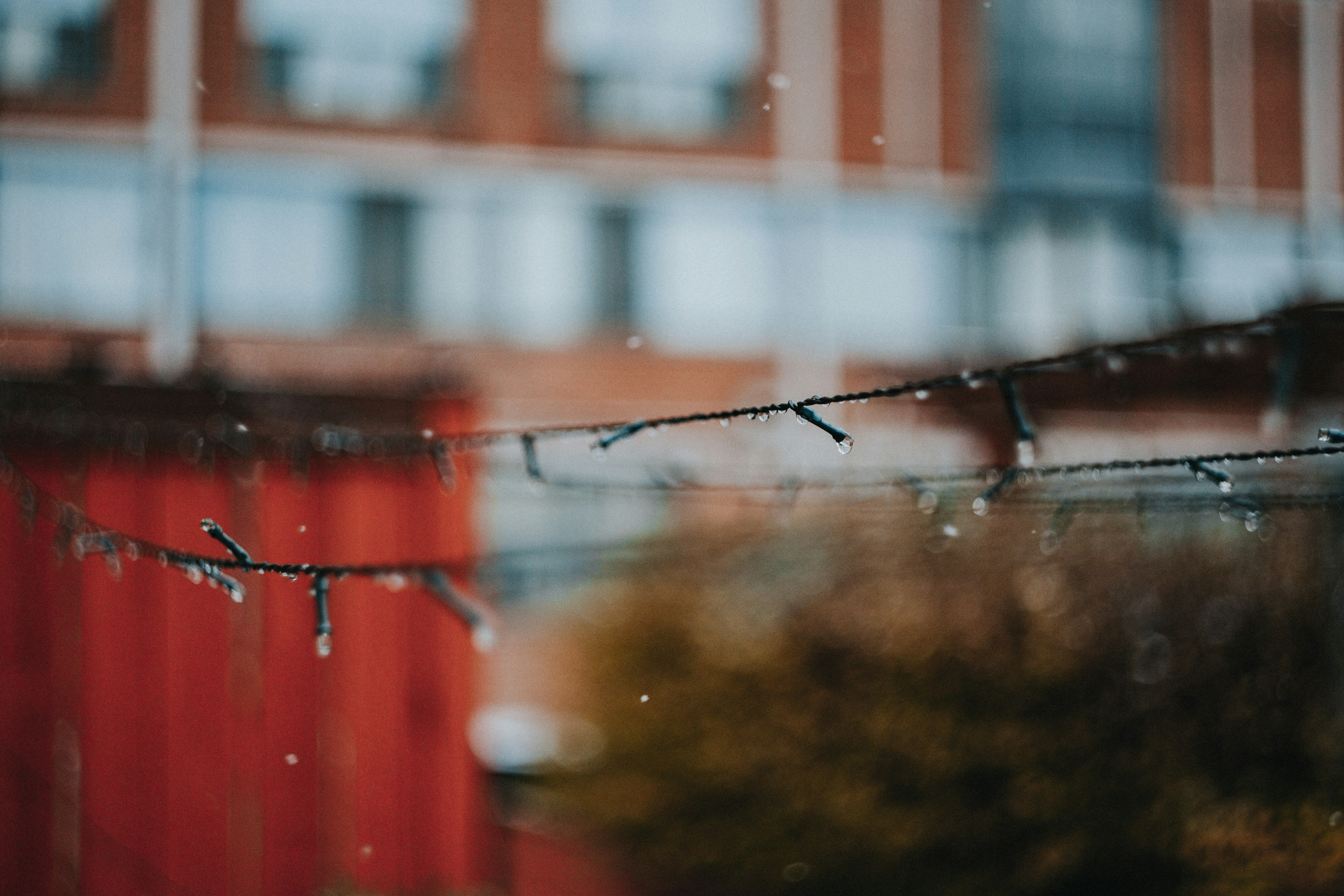 Photo by marcospradobr