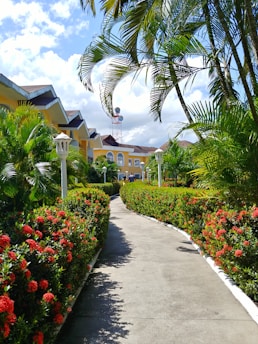 green plants and white-and-black houses