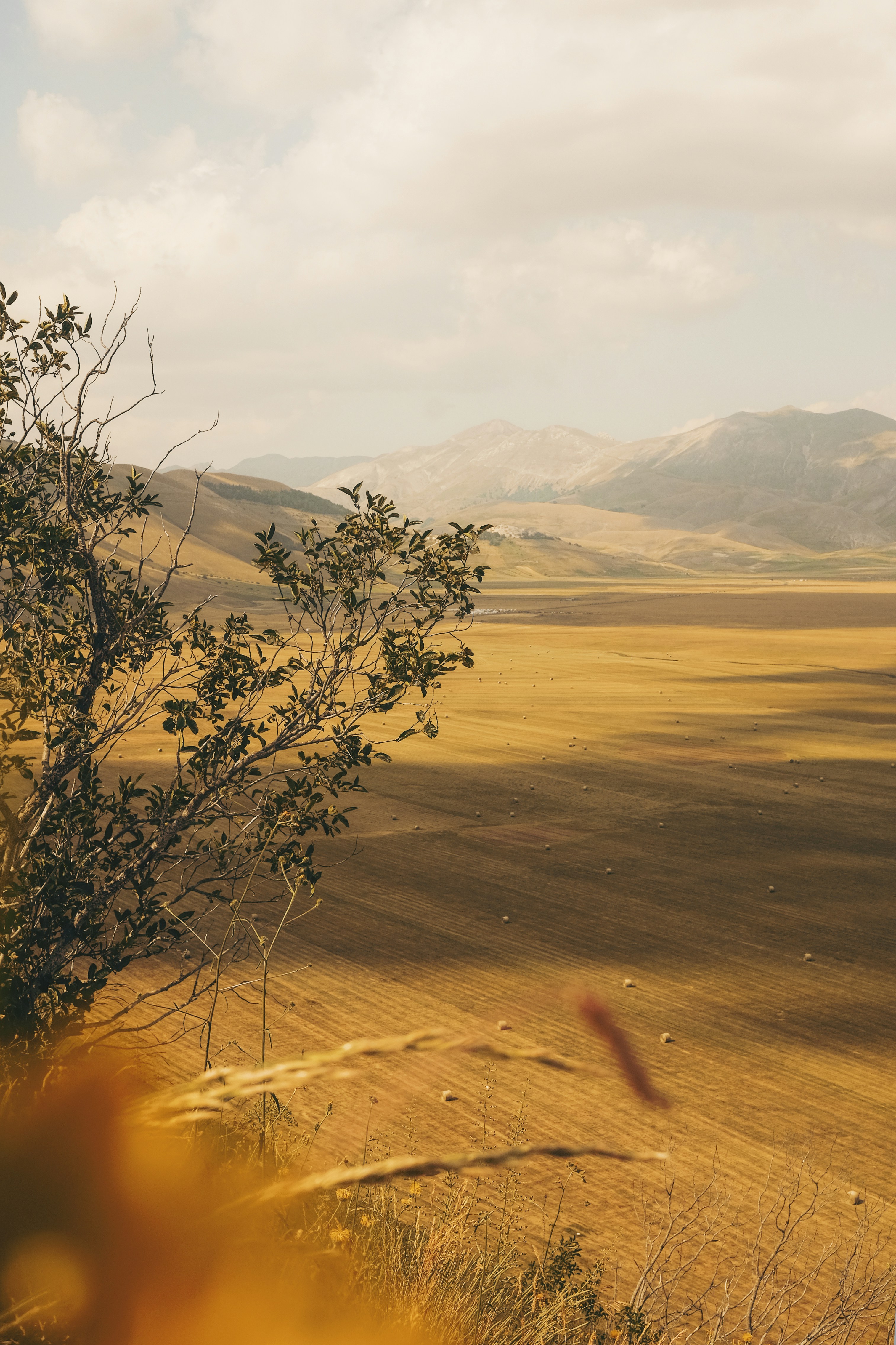 Photo by cristina_gottardi