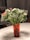A bouquet of small flowers with delicate white blooms and a few pink and purple flowers in a red transparent vase placed on a white tabletop. The flowers are arranged with leafy green stems, creating a fresh and lively appearance.