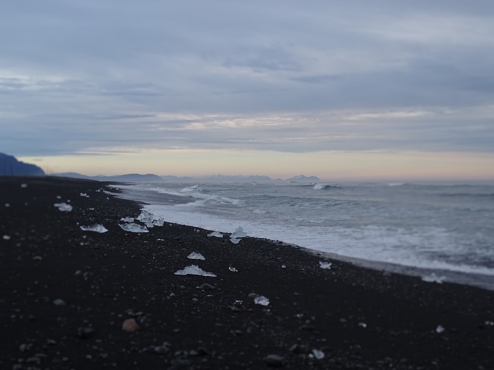 shore near body of water