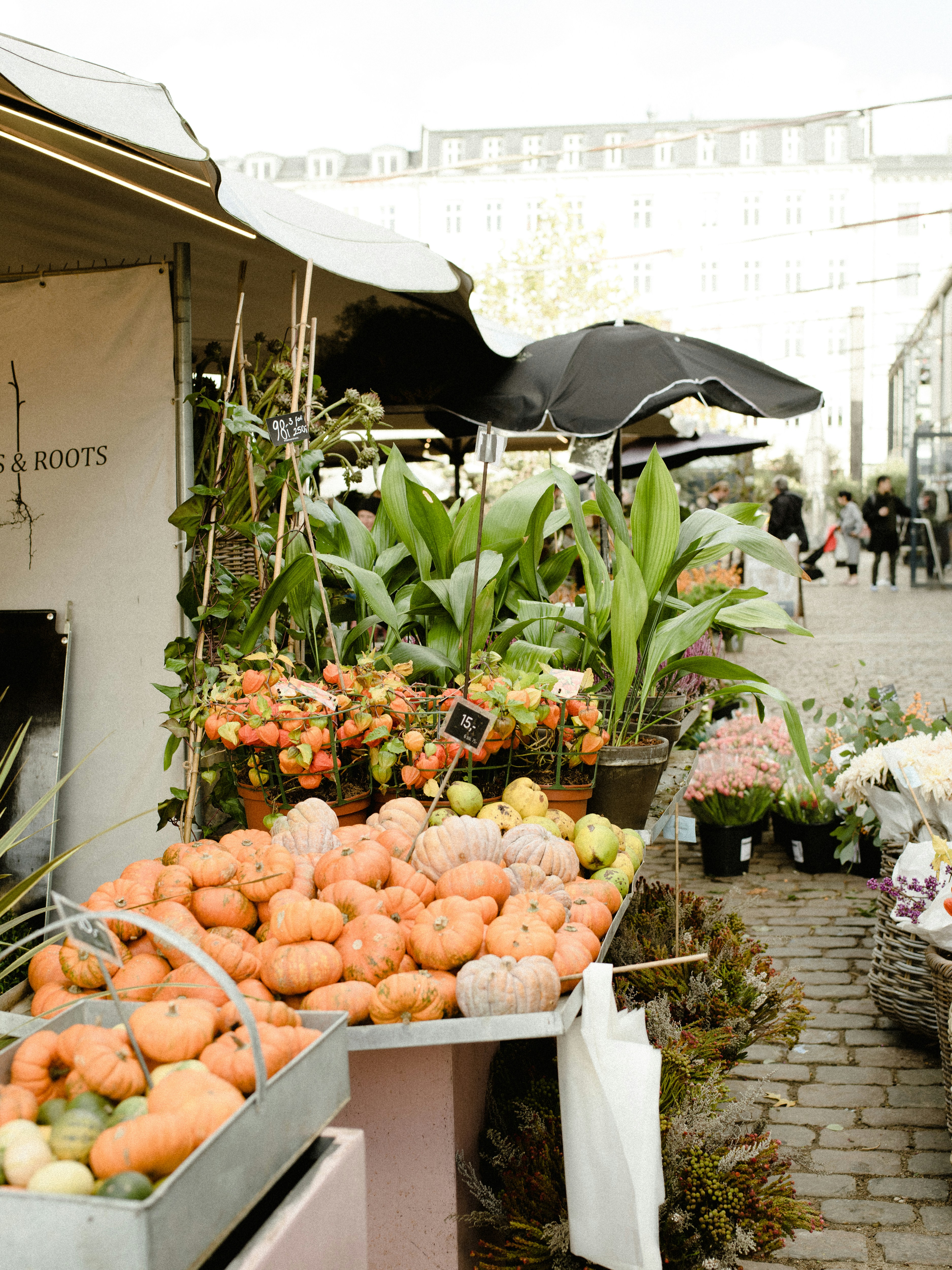 Photo by anniespratt