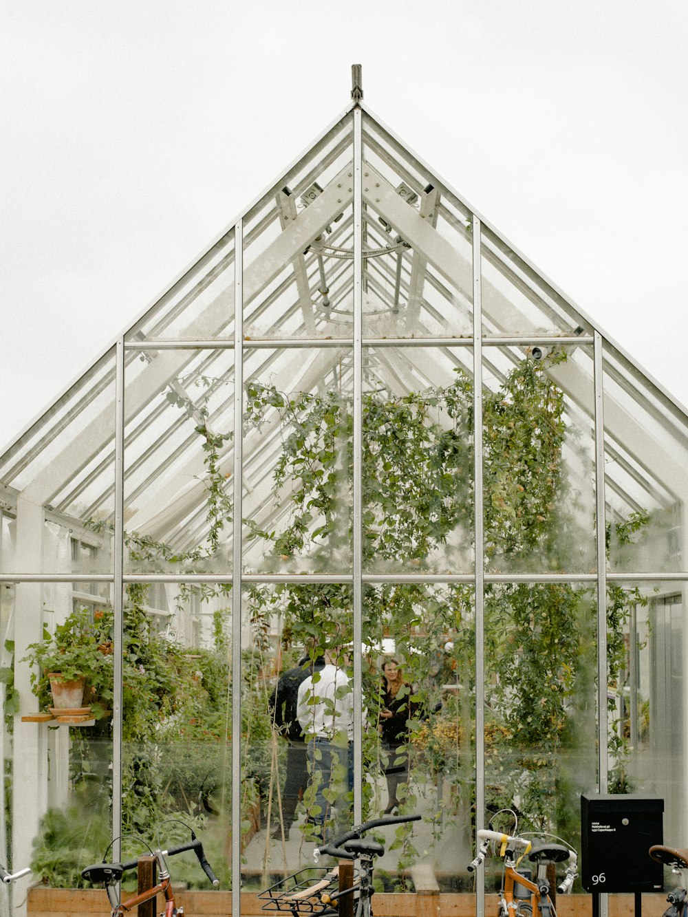 personnes à l’intérieur de la serre