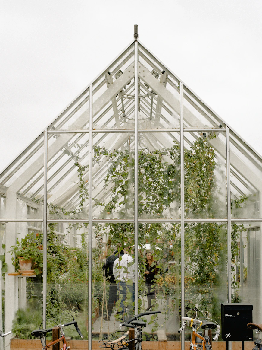 A leading garden designer's private garden in summer