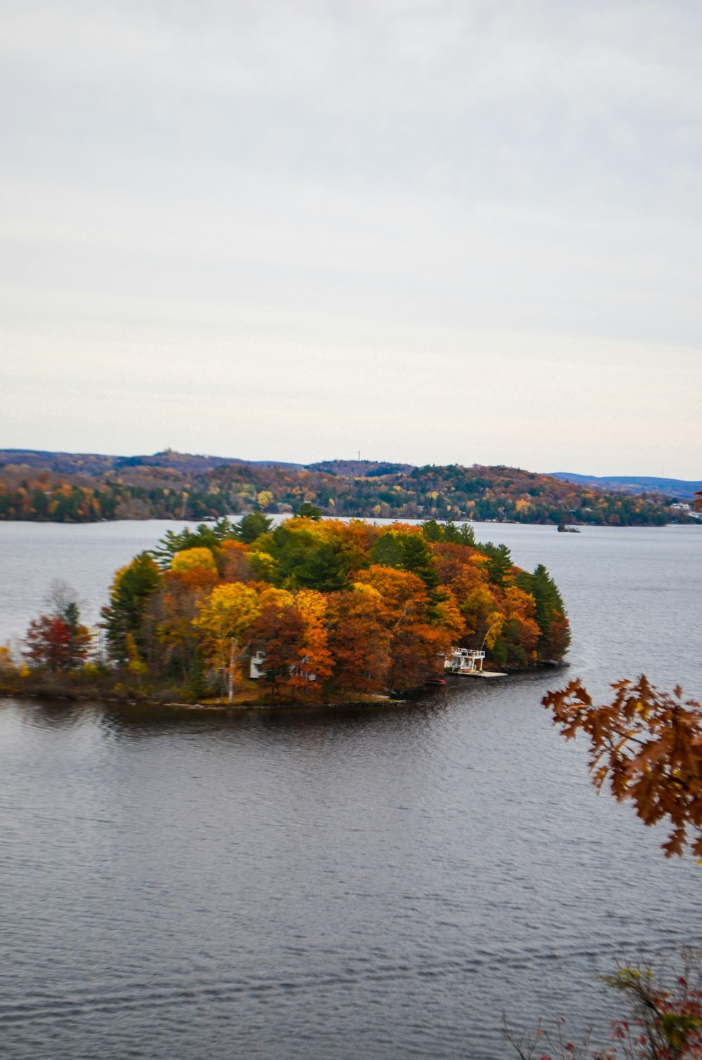 aerial photography of houses surrounded with tall and orange trees near body of water under white sky during daytime