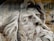 A mural depicting a detailed portrait of a bearded figure with flowing hair, reminiscent of classical sculpture. The artwork is painted on a garage door, incorporating various shades of grey and white, with hints of brown and orange. Graffiti elements and abstract shapes are visible in the surrounding background.