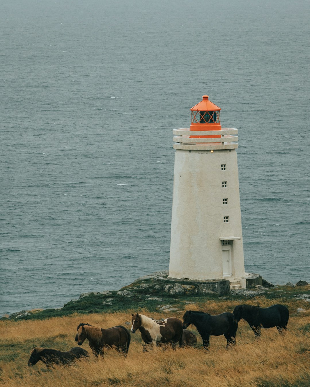 group of horse standing near white lighthouse