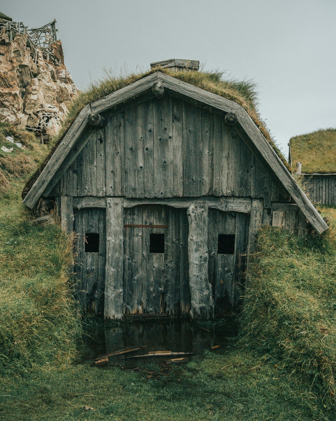 green grass on gray wooden house roof during daytime