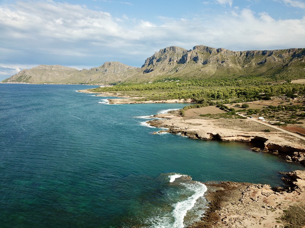 body of water near green and brown shore