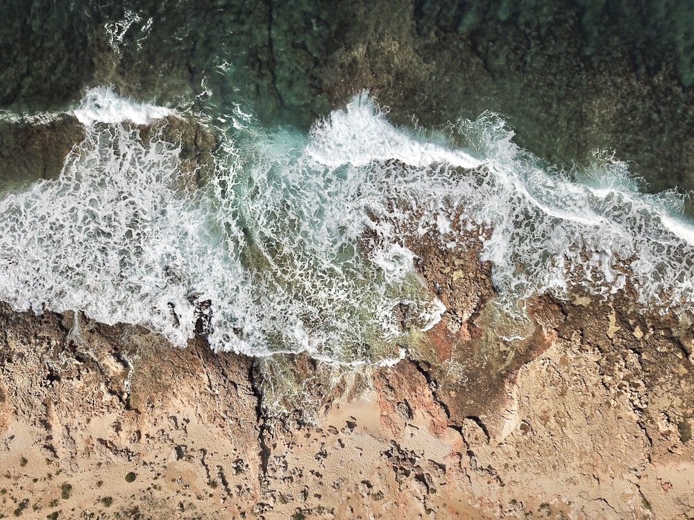 brown shore near body of water