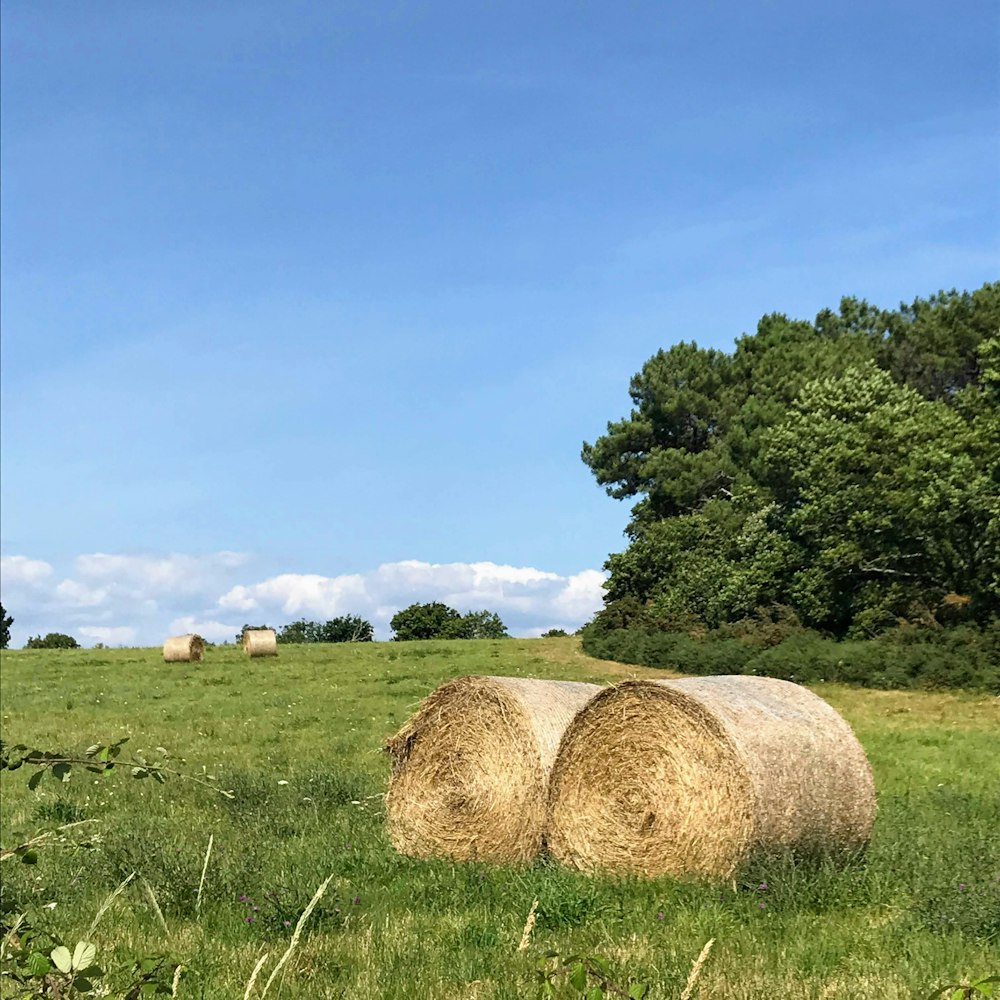 two brown stack rolls