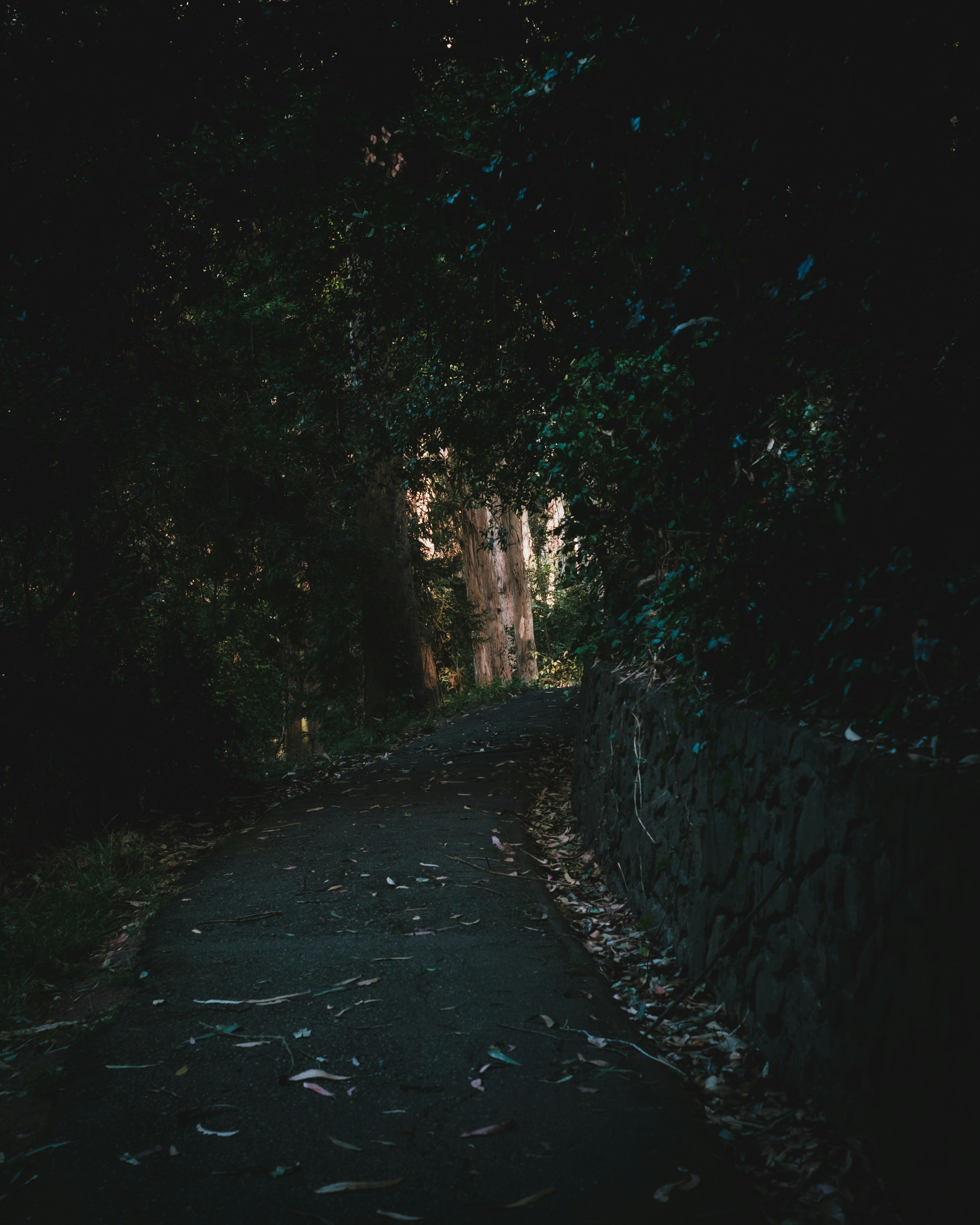 Photo by ilikecalculus