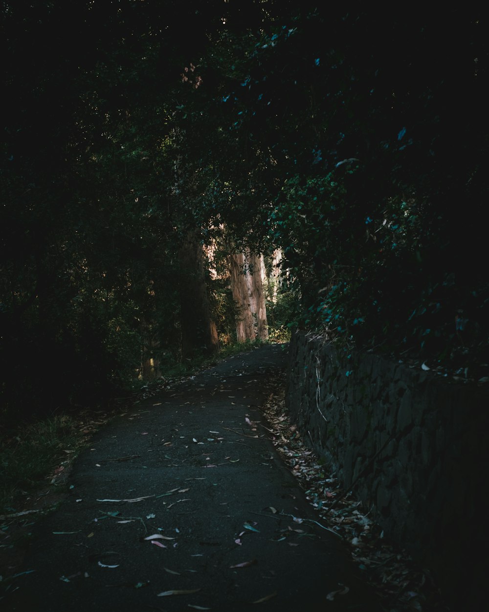 green-leafed trees