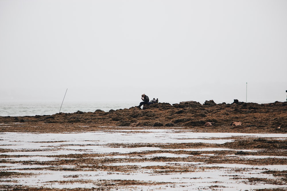 man sitting on rock near body of water