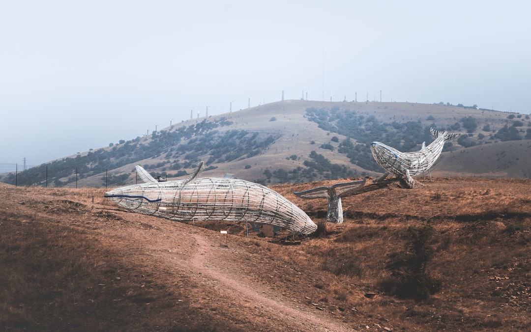 white wire structure on brown mountain