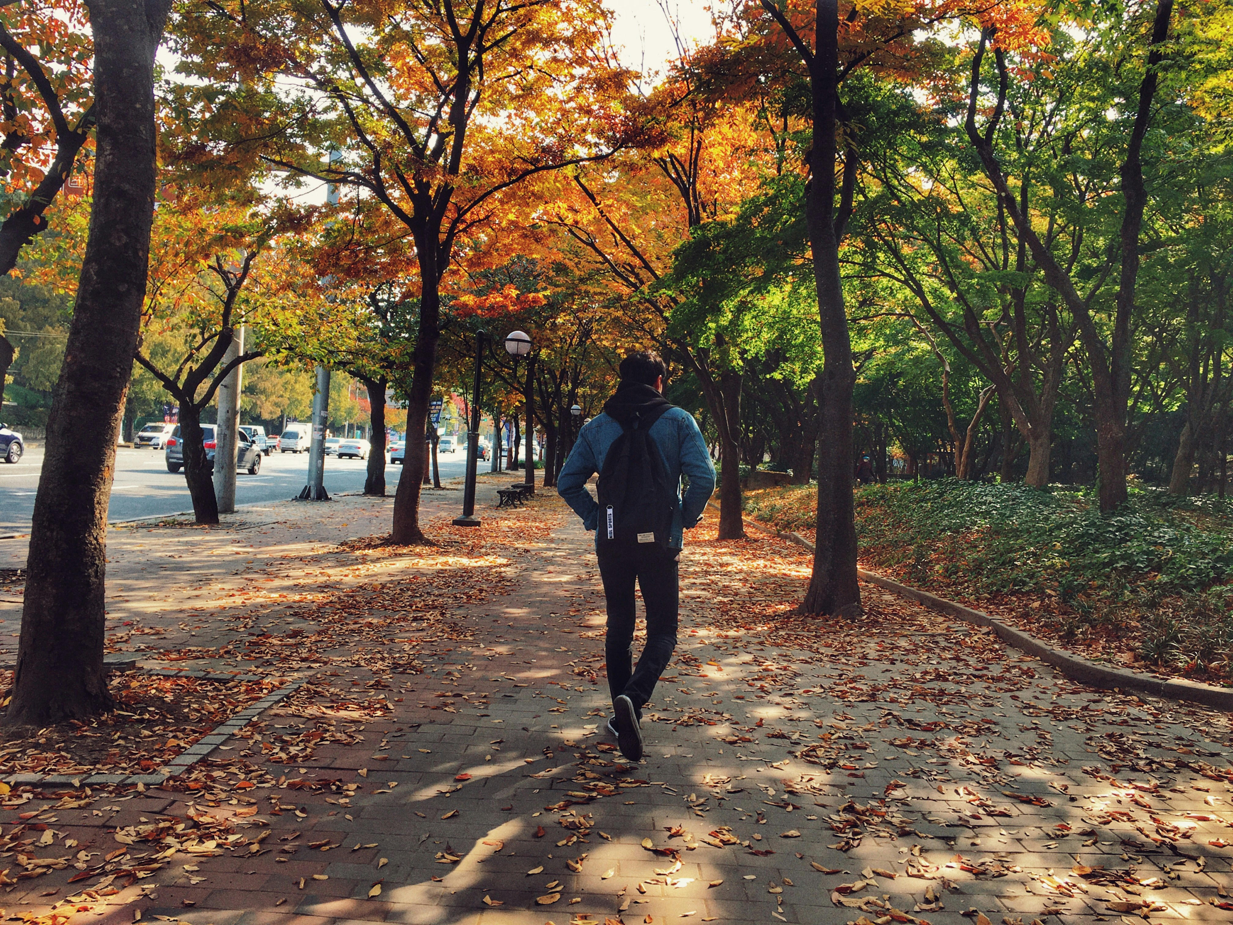 푸른 공원에서 조깅하며 건강한 생활 습관을 실천하는 사람의 모습.