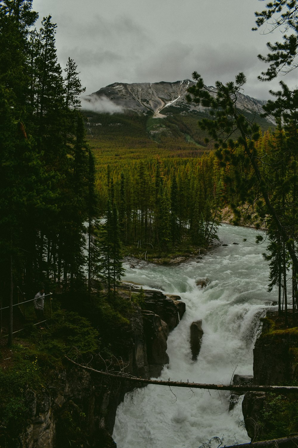 flowing body of water and trees near mountain