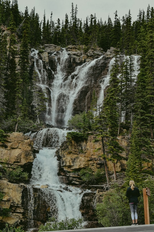 waterfalls surrounded by trees in Jasper Canada