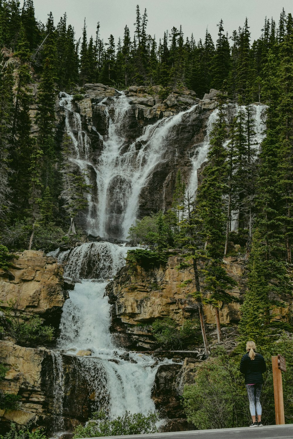 waterfalls surrounded by trees