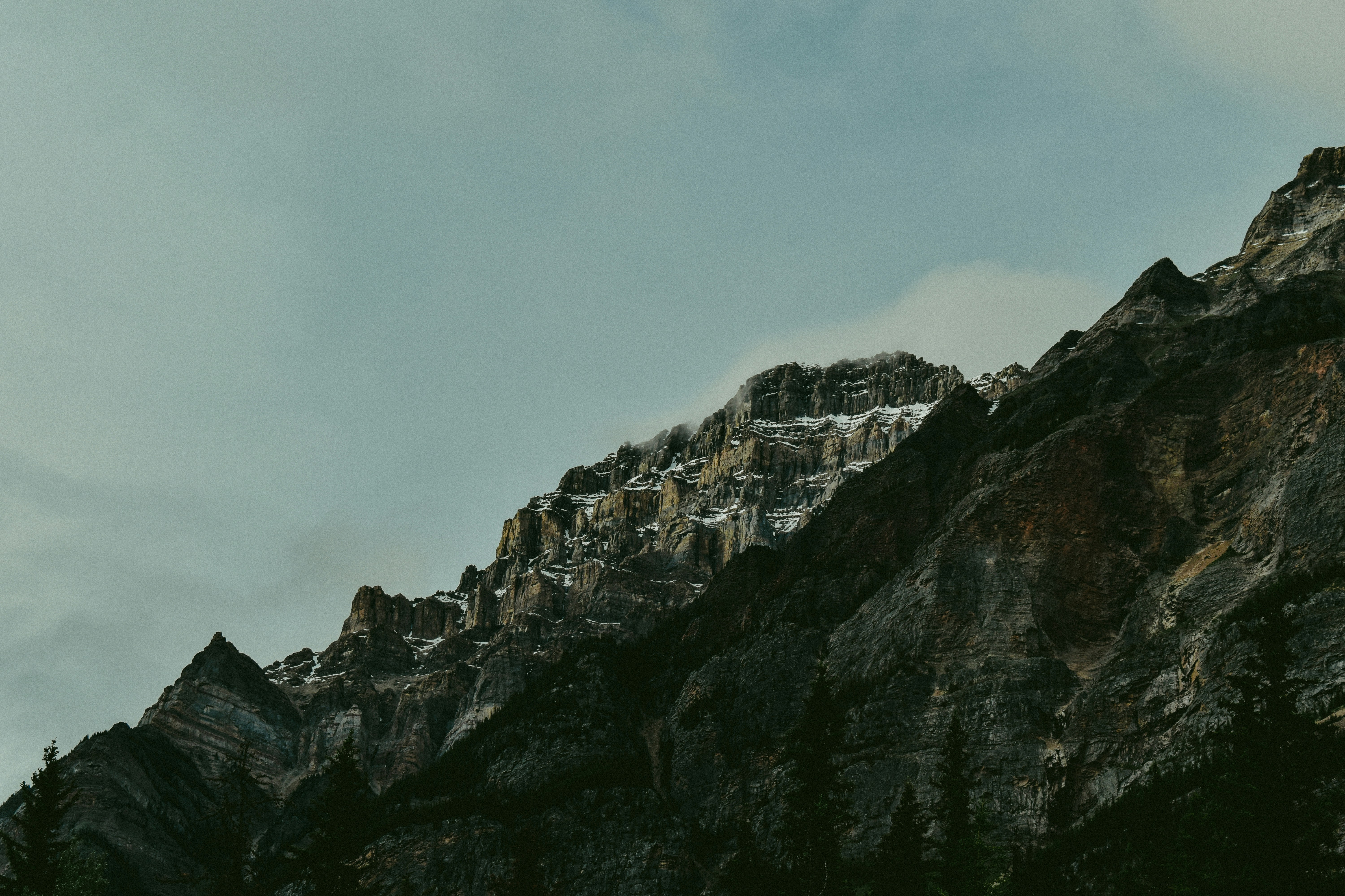 Définition de jasper Dictionnaire français