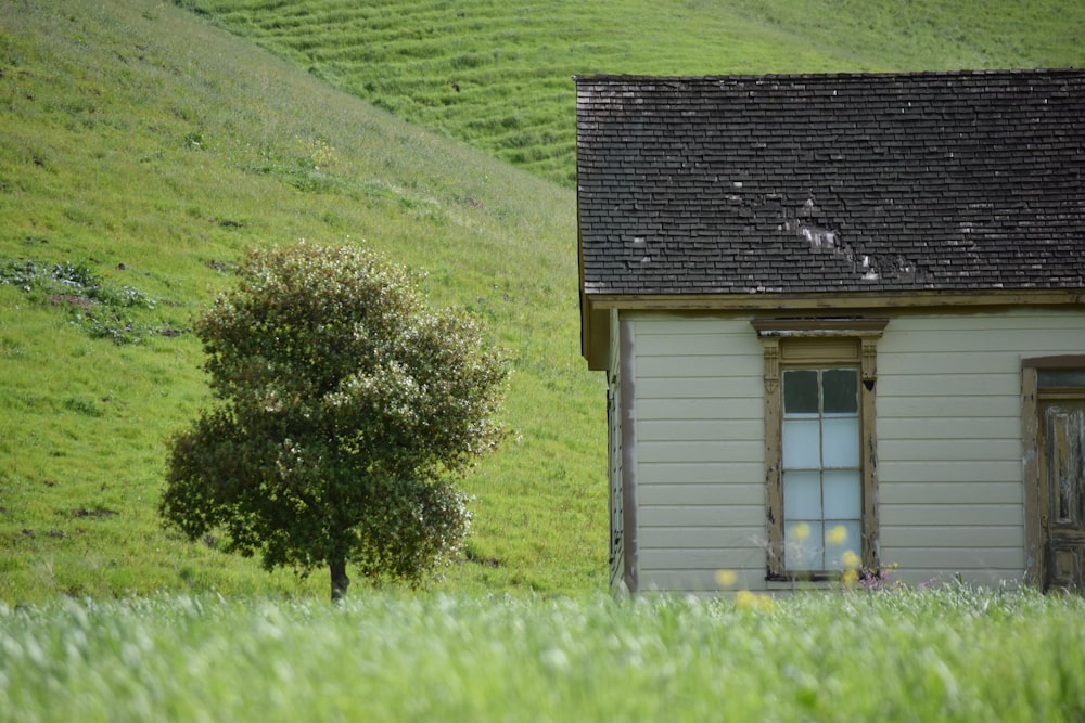 casa marrone accanto all'albero