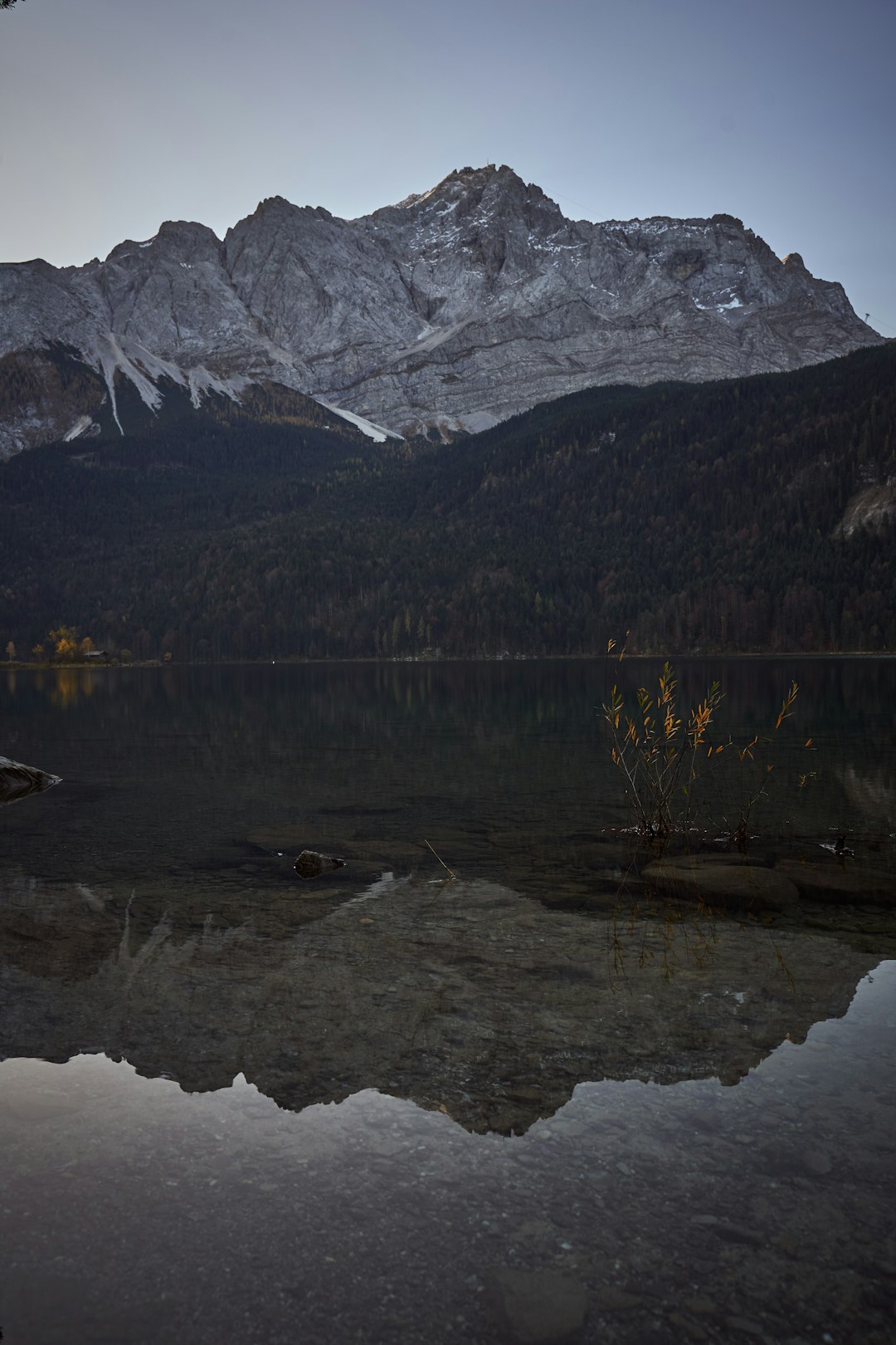 lake surrounded with tall and green trees viewing mountain during daytime