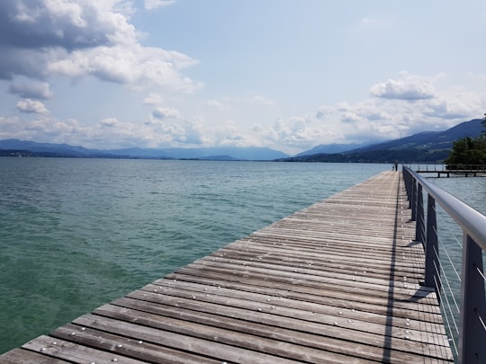 brown wooden dock during daytime in Richterswil Switzerland