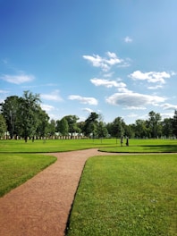 dirt pathway between grass field