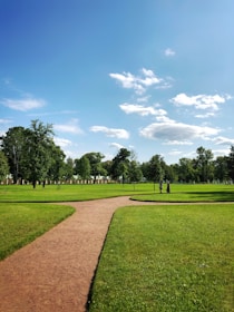 dirt pathway between grass field