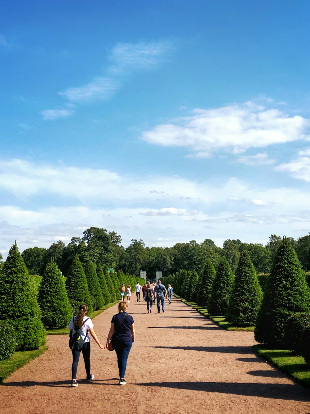 people walking on concrete pathway between topiary trees