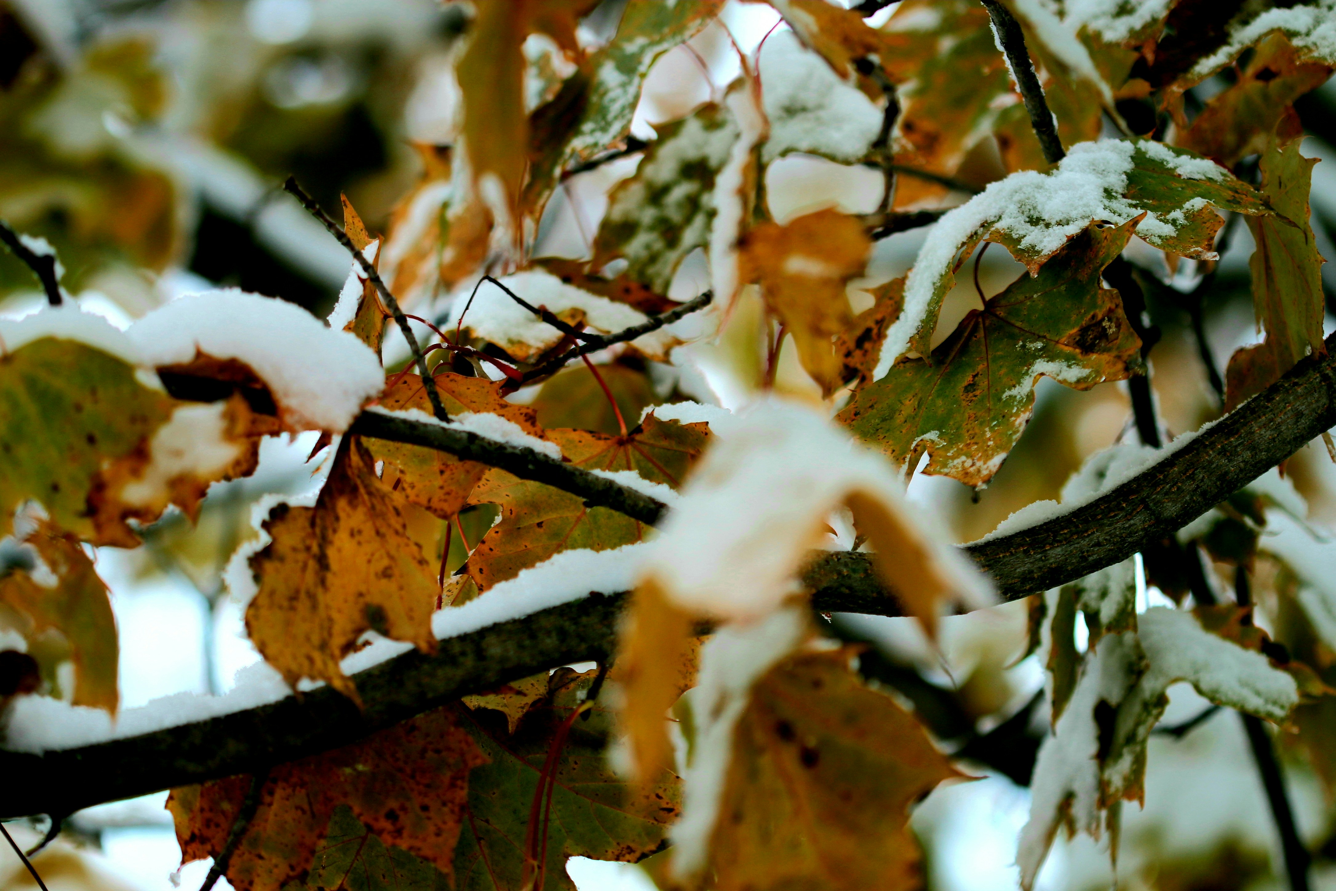 Photo by richardworks