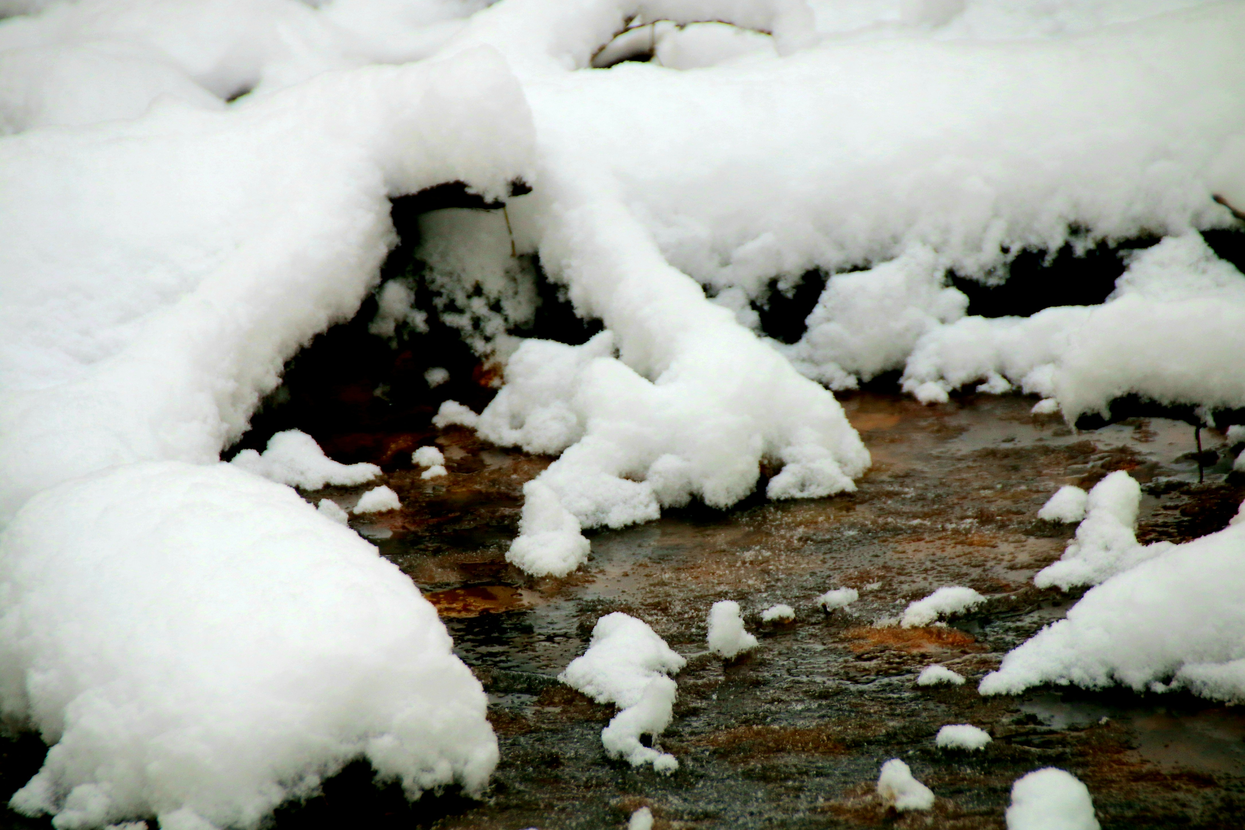 Photo by richardworks