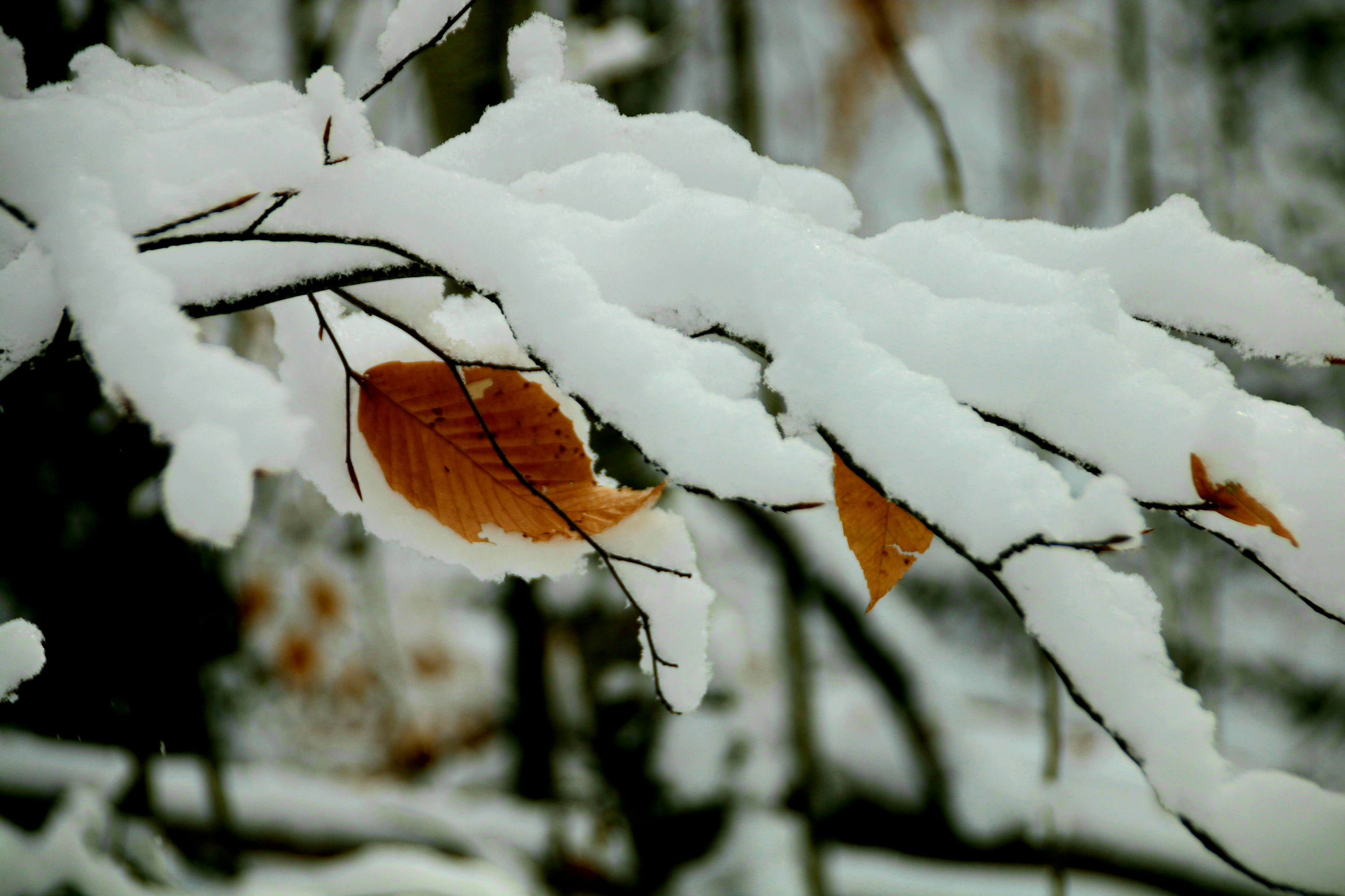 Photo by richardworks